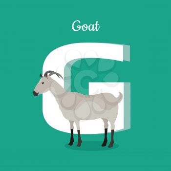 Animal alphabet vector concept. Flat style. Zoo ABC with domestic animal. Grey goat standing on green background, letter G behind. Educational glossary. For children s books, textbooks illustrating