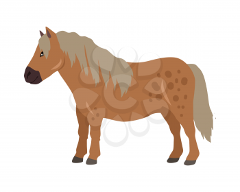 Red pony vector. Flat design. Domestic animal. Country inhabitants concept. For farming, animal husbandry, horse sport illustrating. Agricultural species. Isolated on white background