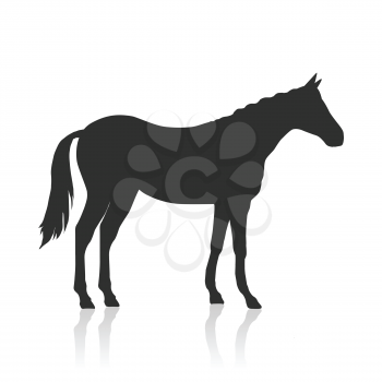 Sorrel horse black vector. Flat design. Domestic animal. Country inhabitants concept. For farming, animal husbandry, horse sport logo illustrating. Agricultural species. Isolated on white