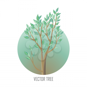 Tree with green leaves. Vector tree round icon. Tree forest, leaf tree isolated, tree branch nature green, plant eco branch tree, organic natural wood illustration. Vector illustration
