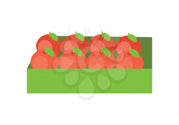 Red apples in a green box. Box full of fresh apples in flat. Box of lovely red apples. Apples in a row. Retail store element. Isolated vector illustration on white background.