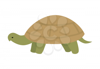 Turtle flat style vector. Wild animal with tortoiseshell. Fauna species. Slowness and wisdom symbol. For nature concept, children s books illustrating, printing materials. Isolated on white background