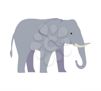 Elephant large cartoon mammal isolated on white. African bush or forest elephant and Asian elephant. Has large ears, concave back, wrinkled skin, sloping abdomen. Sticker for children. Vector