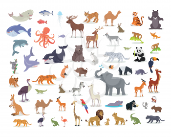 Big set of wild animals cartoon vectors. African, Australian, Arctic, Asian, South and North American fauna predators and herbivorous species.  Aquatic animals, fishes, tropical birds isolated icons  