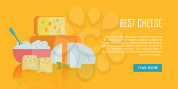 Best cheese banner. Different varieties of cheese pieces on orange background. Natural farm food. Dairy product. Retail store poster. Vector illustration in flat style. Dairy website template.