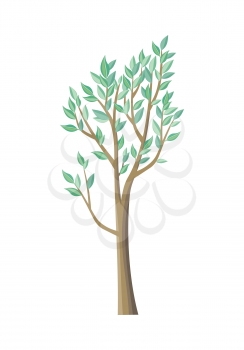 Tree with green leaves. Vector tree icon. Tree forest, leaf tree isolated, tree branch nature green, plant eco branch tree, organic natural wood illustration. Vector illustration