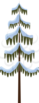 Isolated spruce on white. Illustration of Christmas tree. Evergreen tree covered with snow in cartoon style. Winter 2017 flat design Merry Christmas icon of tall wood with arbor branch vector