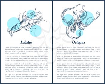 Lobster and octopus seafood ingredients set. Posters with headline text sample and monochrome sketches outline of marine dwellers vector illustration
