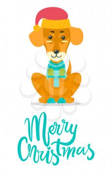 Merry Christmas greeting card with dog in knitted warm sweater, red hat and small shoes sits with happy face isolated cartoon flat vector illustration