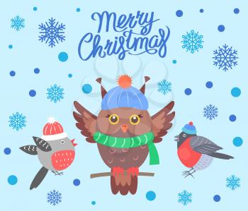Merry Christmas poster with birds, banner greeting sample, owl wearing scarf sitting on branch and bullfinches in hats vector illustration