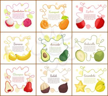 Rambutan and banana, avocado and lychee posters set with text sample. Kumquat and delicious chompoo, ripe salak. Tropical exotic organic fruits vector