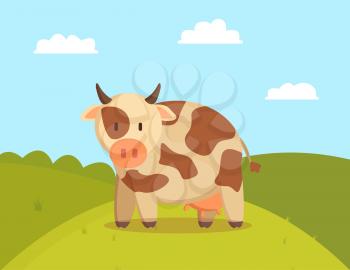 Spotted cow graze on lawn vector illustration, image of domestic animal with small horns and udder for milk production, green meadow with pretty pet