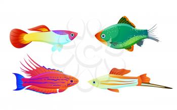 Aquarium pet shapes isolated on white. Freshwater animal guppy and green tiger barb, swordtail fish and filamented flasher wrasse vector illustration