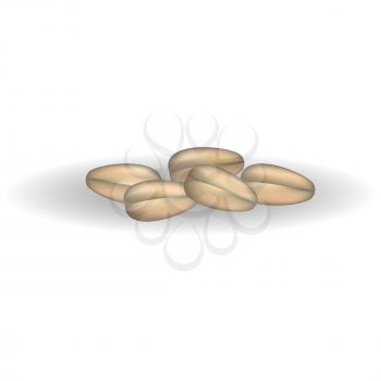 PIle of rye grains closeup vector illustration in flat design. Ripe cereals in oval shape growing on sticks for making flour and dishes