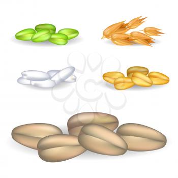Grains on rye in big pile and small heaps of crops closeup vector colorful poster. Golden oat and wheat, green millet and white rice