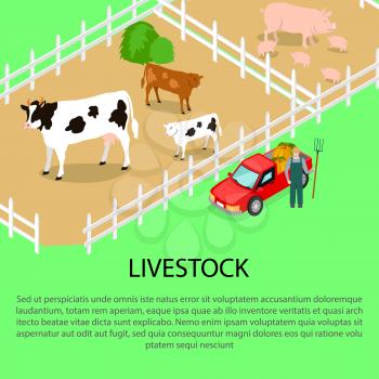 Farm with livestock and farmer near red car, text information below. Agricultural compositions isometric vector illustration