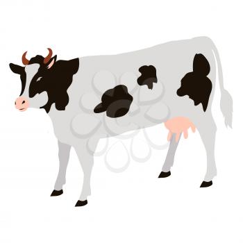 Adult cow with black spots isolated vector illustration on white background. Big domestic animals that give milk and meat for people in flat style