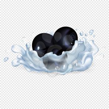 Blackberries or black currant in drops of clean water with big splash isolated realistic vector illustration on transparent background.