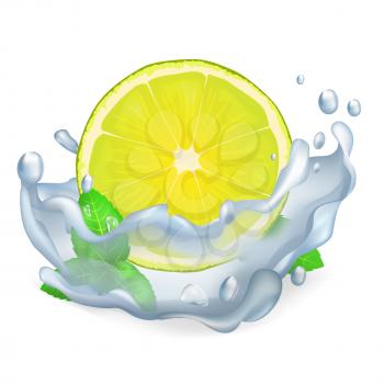 Juicy lemon or lime and green leaves of peppermint with water drops closeup icon isolated on white vector illustration.