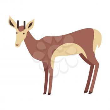 Young fallow deer male with horns flat style vector. Wild herbivorous animal. European fauna species. For nature concepts children s book illustrating, printing materials. Isolated on white background