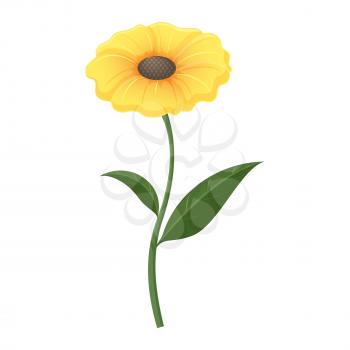 Yellow zinnia flower with leaves in isolated on white background. Present for easter holiday celebration, vector decorative plant in flat style design. Spring beautiful blooming garden object