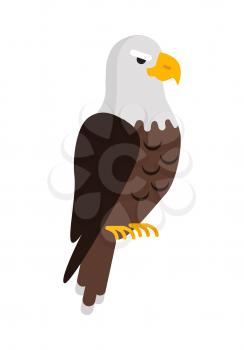 Eagle large bird of prey cartoon isolated on white background. Eagles are large, powerfully built birds, with heavy head and beak. Sticker for children. Vector design illustration in flat style