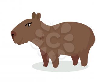 Capybara cartoon character. Cute capybara flat vector isolated on white background. South America fauna. Capybara icon. Wild animal illustration for zoo ad, nature concept, children book illustrating
