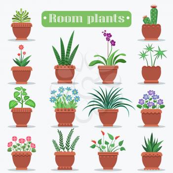 Room plants in clay pots vector illustrations set. Beautiful blooming flowers and ever green plants for home decoration big set.