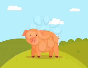 Pig on green glade, image of fatty domestic pet colorful vector illustration of cute meadow with pretty pink swine, rural nature, bright blue sky