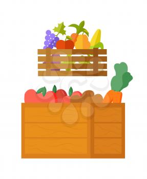 Seasonal food vector, isolated box with meal fresh organic ingredients in basket. Flat style grapes and tomato, carrots and peas, corn and vitamins