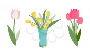 Types of flower vector, isolated icons set of tulips with different color. Floral composition for holiday greeting and celebration. Gift for occasion