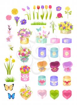 Boxes and flowers collection, wrapping and decoration bows, tulips and sakura, roses and butterflies set, narcissus and grass, vector illustration