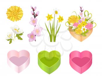Flowers set and heart shaped boxes, poster with narcissus and sakura branch, gerbera and composition of plants, vector illustration isolated on white
