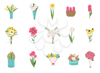 Bouquet of wedding flowers set, blossom or flavor on white. Colorful roses, daisies exotic plants in flat design style, element of natural decoration vector. Early spring and summer flower in garden