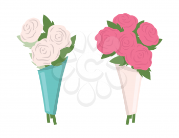 Flowers put in bouquet vector, set of isolated icons. Roses in blue and white wrappings, botanical decoration for holiday. Blossom and flourishing