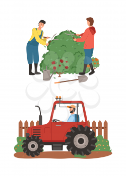 Farming people vector, man and woman cutting bushes making shape, tractor driver riding automobile for cultivation of ground. Agricultural machinery