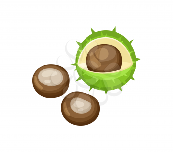 Chestnut kernel and peel set, isolated icons vector. Closeup of unprepared ingredients that may be roaster. Edible seasonal product fallen from tree