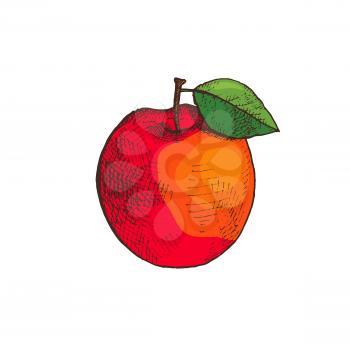 Ripe apple fruit with leaf isolated icon vector. Fresh product rich in vitamins and good nutrients. Dieting and diet, vegan food, meal for vegetarians