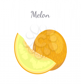 Melon exotic juicy stone fruit whole and cut vector isolated. Tropical sweet edible, fleshy food, dieting vegetarian icon, yellow sweet dessert plant