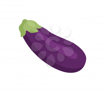Aubergine product at supermarket, natural vegetable purple eggplant organic food icon, vector illustration, isolated on white background