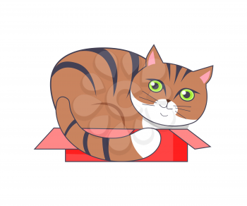 Cat sitting in box of red color, feeling safety and protection, kitten with fur with stripes in container, vector illustration isolated on white