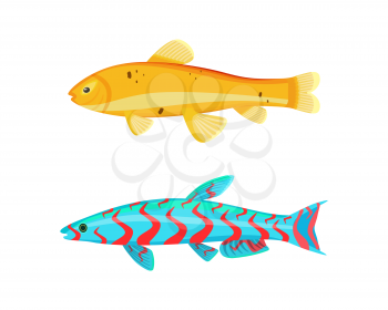 Malawi yellow zebra fish set. Limbless animals living in water with red lines on body. Biological organisms of seas and oceans vector illustration