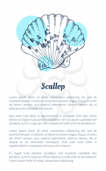 Scallop marine creature as seafood flat vector illustration in sketch style. Nautical information poster on white and blue spots with text sample.