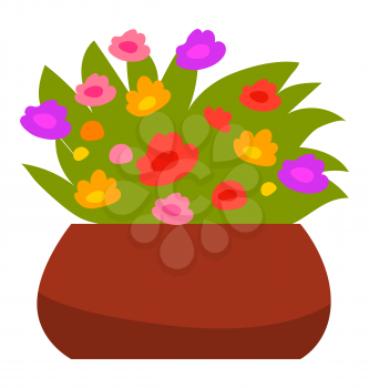 Flowerpot with flowers vector, isolated houseplant with leaves and flourishing bloom. Blossom of spring, summer decoration in ceramic pot flat style