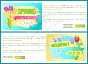 Best discount 50 off advertisement stickers colorful bouquets three tulips vector illustration spring collection sale web posters with push buttons