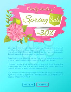 Spring sale only today 30 off web poster with online push buttons and pink daisy flower on sticker, vector springtime advertisement poster, info sales