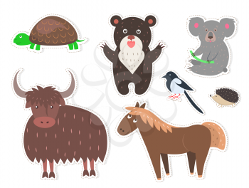 Wild cartoon animals stickers isolated on white background. Small turtle, brown bear, black and white magpie, cute coala bear, barbed hadgehog, fluffy yak and funny horse vector illustrations set.