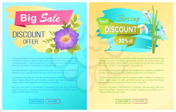 Big spring best sale advertisement labels snowdrops and viola purple flowers with yellow center vector web posters. Blossom of plants landing page