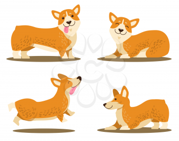 Playing corgi dog set of four icons isolated on white. Vector illustration with cute happy canine of funny breed with short legs in different poses
