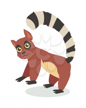 Lemur cartoon character. Lemur with big striped tail flat vector isolated on white. Madagascar fauna. Cute lemur icon. Wild animal illustration for zoo ad, nature concept, children book illustrating